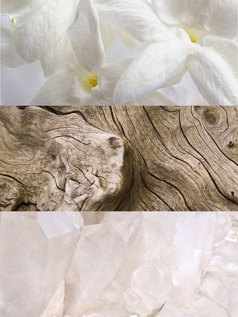 IRIS_NOTAS_2500x.jpg